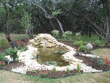 Pond and Water Garden Photos