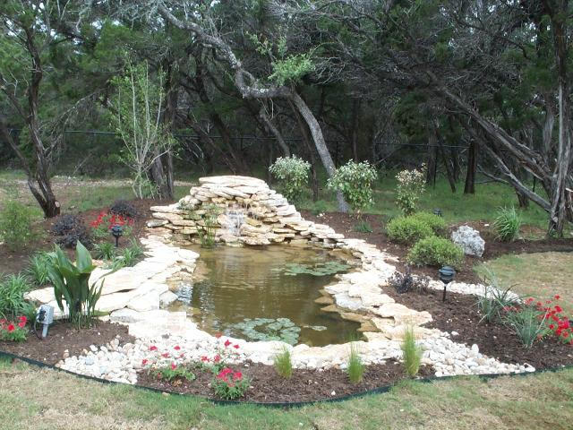 Pond and Water Garden Photos