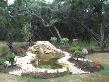 Pond and Water Garden Photos