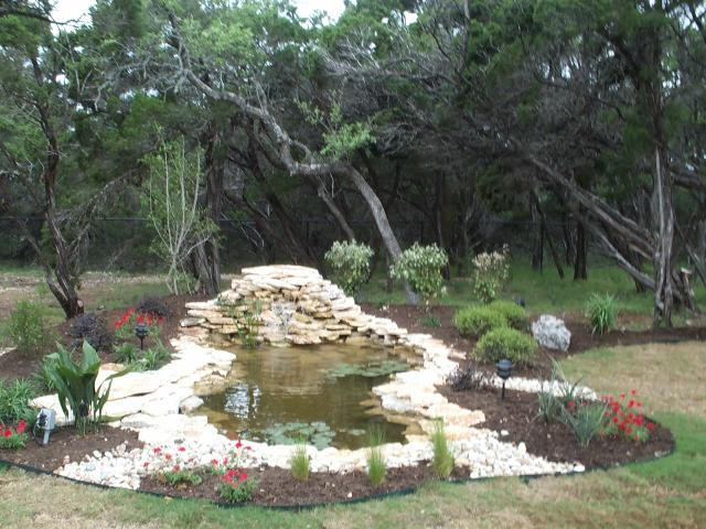 Pond and Water Garden Photos
