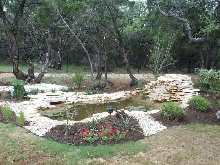 Pond and Water Garden Photos