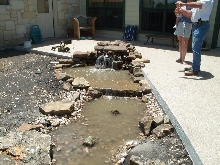 Pond and Water Garden Photos
