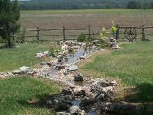 Pond and Water Garden Photos