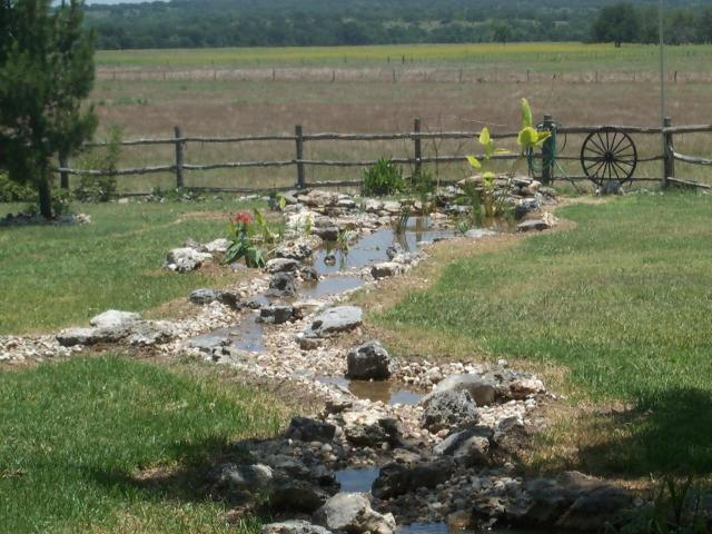 Pond and Water Garden Photos