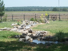 Pond and Water Garden Photos