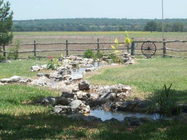 Pond and Water Garden Photos