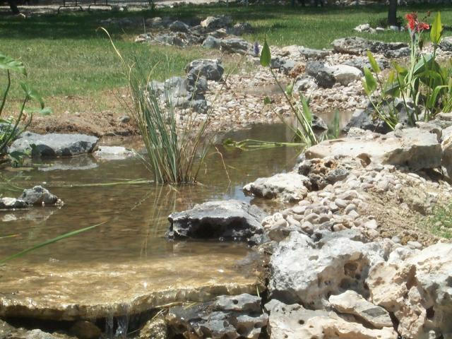 Pond and Water Garden Photos