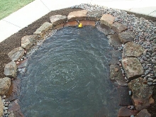 Pond and Water Garden Photos