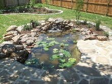 Pond and Water Garden Photos