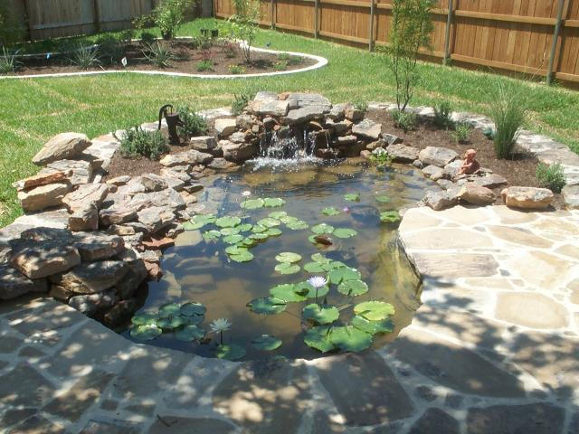Pond and Water Garden Photos