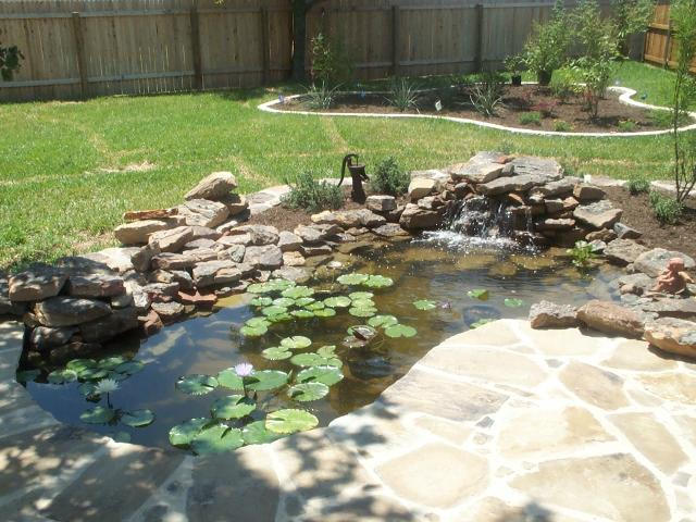 Pond and Water Garden Photos