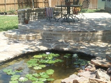 Pond and Water Garden Photos
