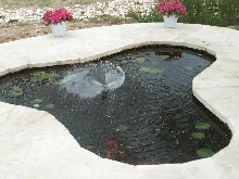 Pond and Water Garden Photos