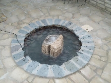 Pond and Water Garden Photos