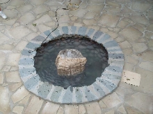 Pond and Water Garden Photos
