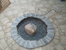 Pond and Water Garden Photos