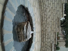 Pond and Water Garden Photos