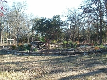 Pond and Water Garden Photos