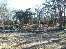 Pond and Water Garden Photos