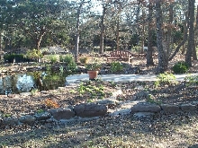 Pond and Water Garden Photos