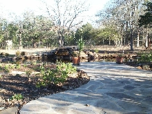Pond and Water Garden Photos