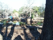 Pond and Water Garden Photos