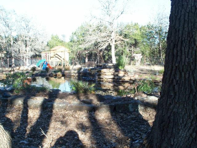 Pond and Water Garden Photos