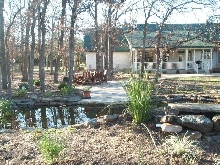 Pond and Water Garden Photos