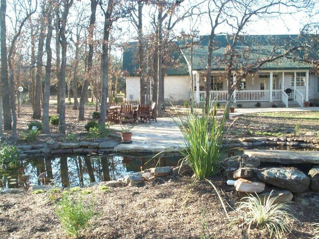 Pond and Water Garden Photos