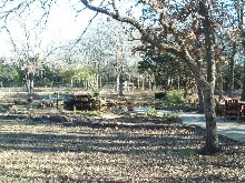 Pond and Water Garden Photos