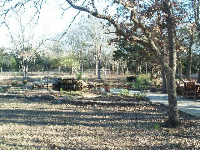 Pond and Water Garden Photos