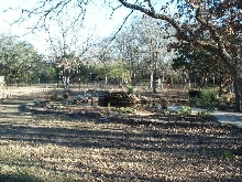 Pond and Water Garden Photos