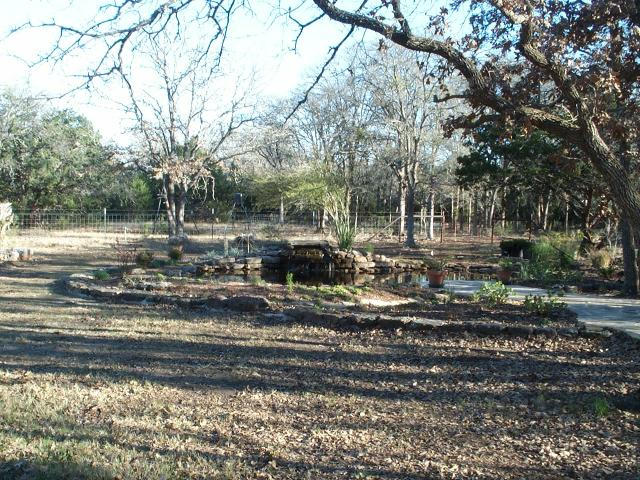 Pond and Water Garden Photos