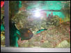 Waco Zoo 2001