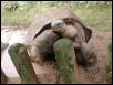 Waco Zoo 2001