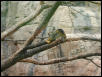 Waco Zoo 2001