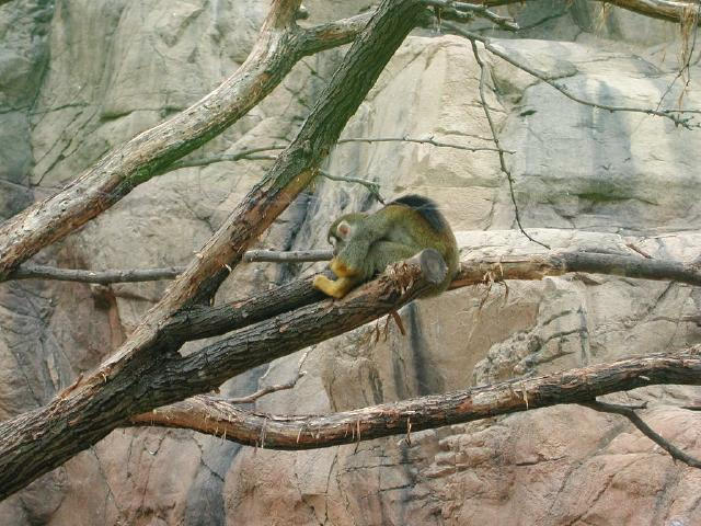 Waco Zoo 2001