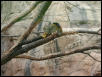 Waco Zoo 2001