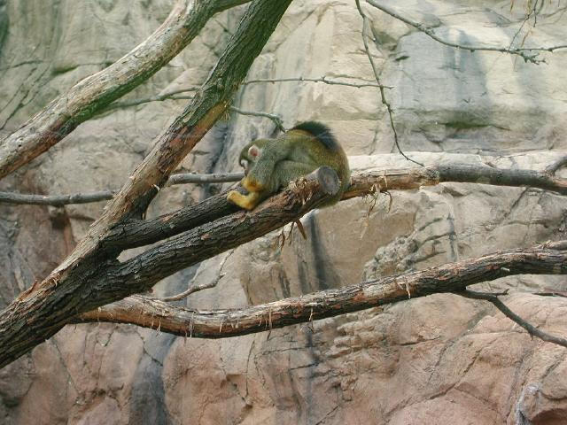 Waco Zoo 2001
