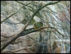 Waco Zoo 2001