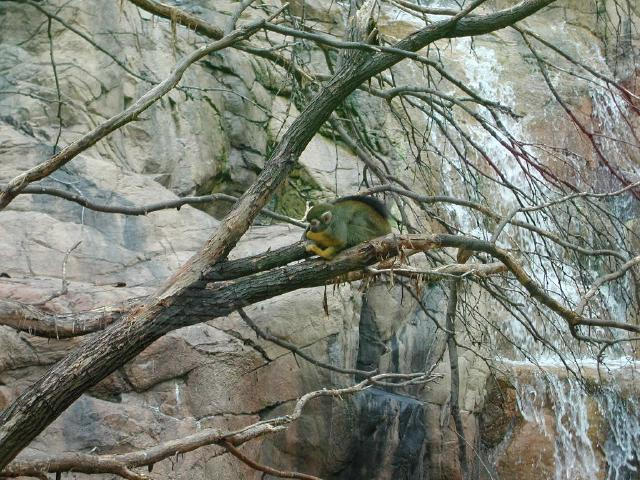Waco Zoo 2001