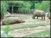 Waco Zoo 2001