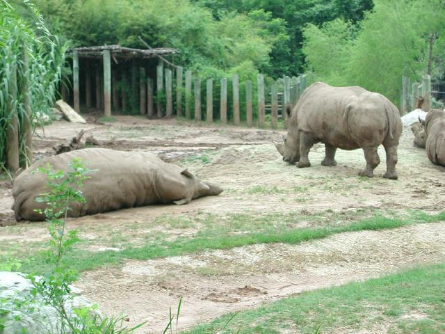 Waco Zoo 2001
