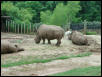 Waco Zoo 2001