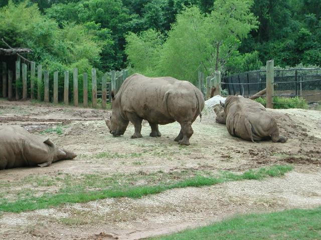 Waco Zoo 2001