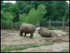 Waco Zoo 2001