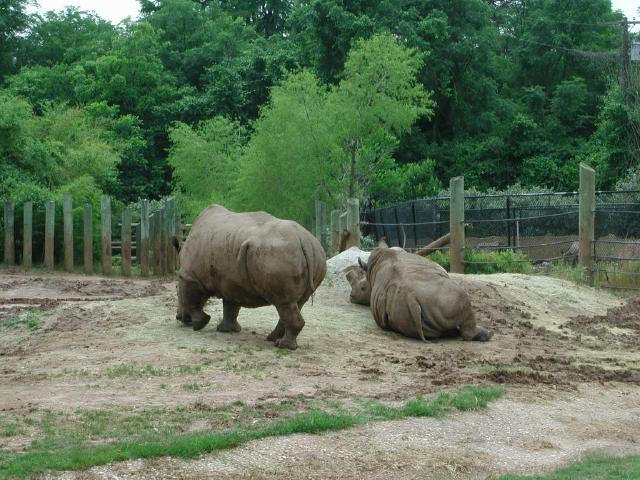 Waco Zoo 2001