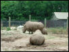 Waco Zoo 2001