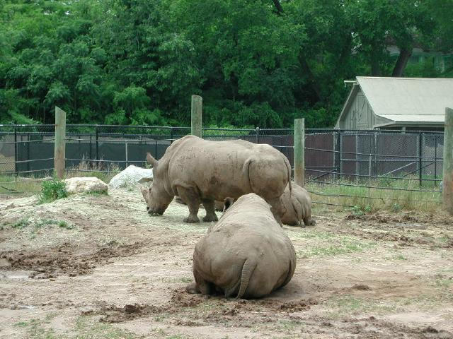 Waco Zoo 2001