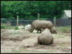 Waco Zoo 2001